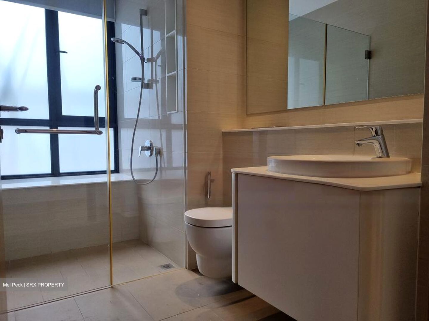 Treasure On Balmoral (D10), Apartment #482010511